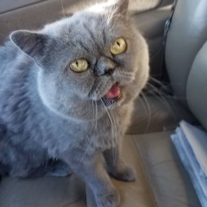 Meet your Posher, Chris